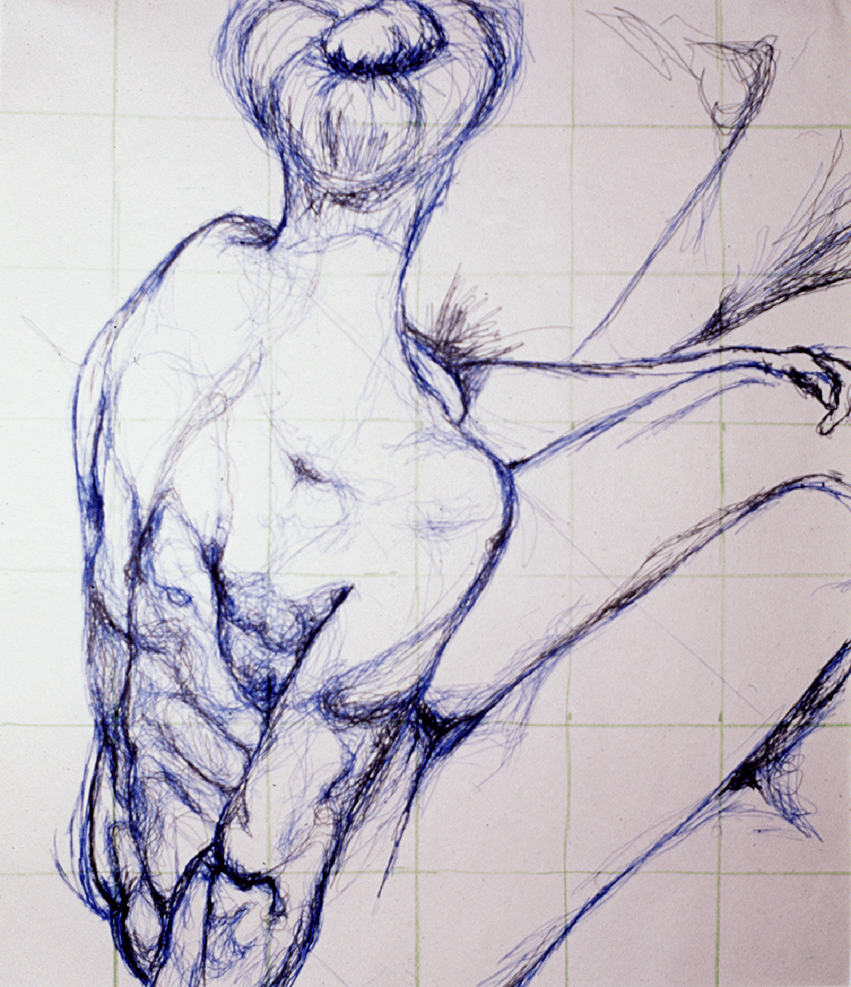 femaletorsodrwgcrop_1500w